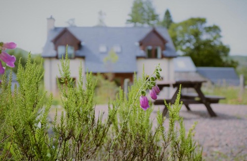 Torcastle Casa | Shepherds Rest