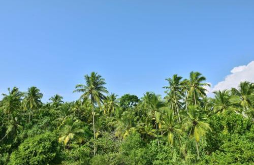 Kosgoda Complejo | Sheraton Kosgoda Turtle Beach Resort