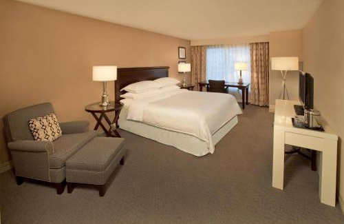 Louisville Hotel | Sheraton Louisville Riverside Hotel