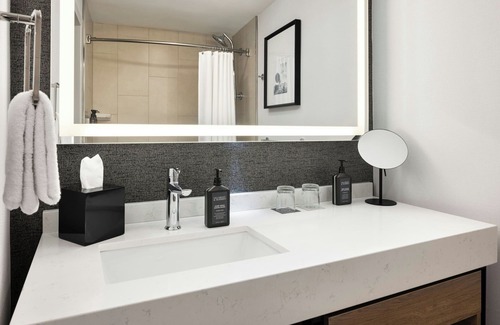 Downtown Minneapolis Hotel | Sheraton Minneapolis Downtown Convention Center