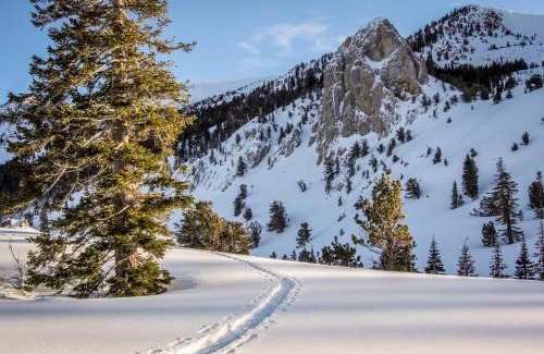 Mammoth Lakes Apartamento | Sherwin Villas 39