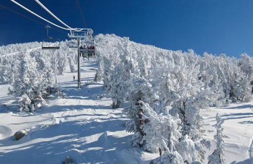 Mammoth Lakes Apartamento | Sherwin Villas B13