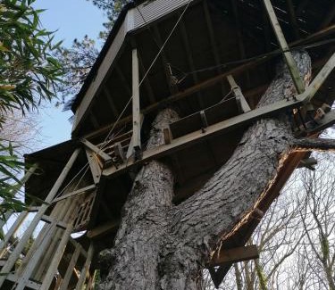 Etretat Cama Y Desayuno | SHERWOOD TREE