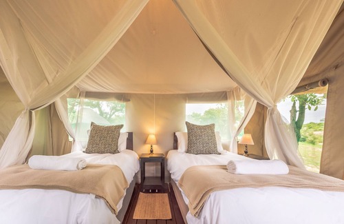 Thorny Bush Game Reserve Otro | Shindzela Tented Safari Camp