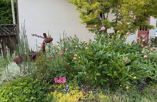 Corvallis Cabaña | ShiShi's Cottage--Walk to OSU