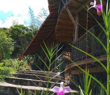 San Carlos Cabina | Shiva's Temple