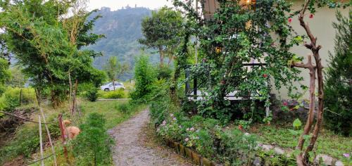 Haridwar Complejo | Shoolin Jungle Resort