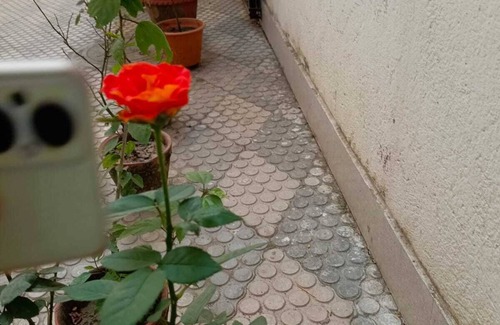 New Town Casa | Shree Residency