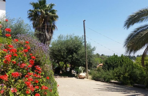 Rosh Pinna Cabina | Shwartzimmer