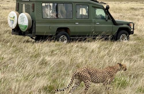 Arusha Cama Y Desayuno | Sia