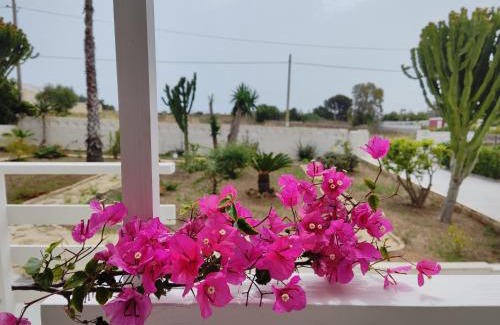 San Lorenzo Apartamento | Sicilia Noto San Lorenzo Villa Amaranto