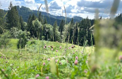 Buchenberg Apartamento | Siebenschläferhütte