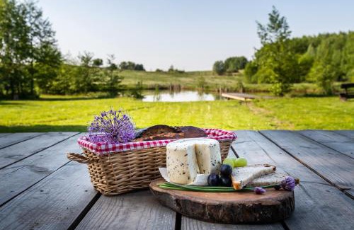 Wizajny Apartamento | Siedlisko Wiłkupie, Dom nad stawem