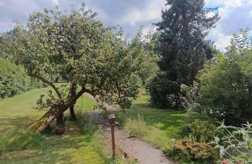 Velbert Apartamento | Siedlungshaus im Grünen