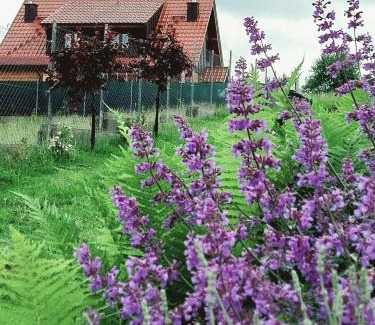 Gietrzwald Cabina | Sielski Spokój Dom z bali Apartamenty całoroczne