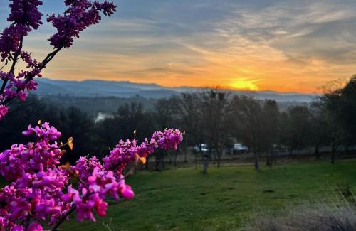 Mariposa County Casa | Sierra Ranch - A Yosemite Retreat