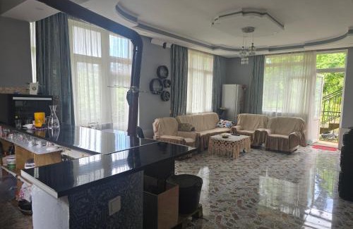 Imereti Villa | Silence