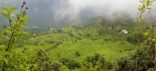 Kaul Casa | Silent Valley- Alchauna Kumaoni House along river Kalsa