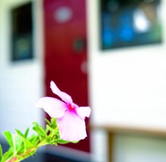 Parlatuvier Casa | Silk Cotton Cottages
