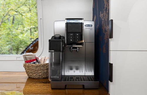 Pisgah Forest Villa | Silver Fern in Pisgah Forest