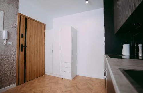 Nowy Sacz Apartamento | SILVER PTAK Apartment