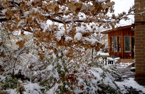 Farmington Cama Y Desayuno | Silver River Adobe Inn Bed and Breakfast
