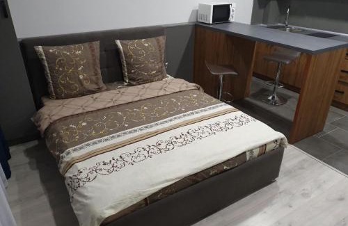 Uzhhorod Apartamento | Silver Star Apartment