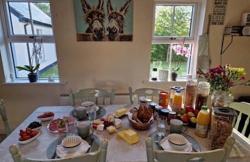 Kilgreaney Cama Y Desayuno | Silvi's Guest House Borris Carlow