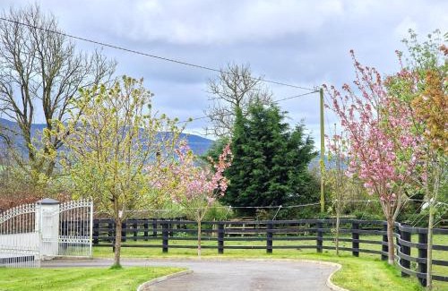 Kilgreaney Cama Y Desayuno | Silvi's Guest House Borris Carlow