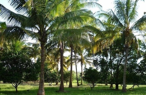 Morogoro Cabina | Simbamwenni Lodge and Camping