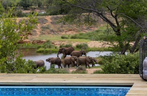 Thorny Bush Game Reserve Apartamento | Simbavati Mvubu Cottage