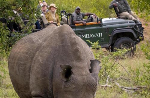Thorny Bush Game Reserve Apartamento | Simbavati Mvubu Cottage