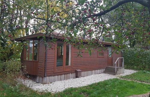 Lunteren Chalet De Esquí | Simple Chalet on Natural Farm near Natural Parks - 1hr from Amsterdam
