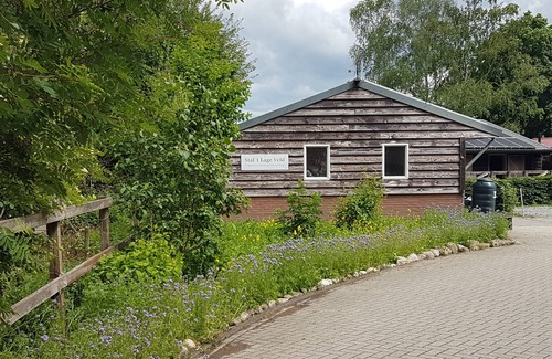 Lunteren Chalet De Esquí | Simple Chalet on Natural Farm near Natural Parks - 1hr from Amsterdam