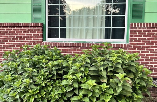 Cordova Casa | Simple Country Living