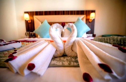 Simsa Village Hotel | Simsa Heights Manali