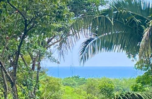 Savegre Casa | Sinfonía Tropical, ocean view, 5 minutes driving to Playa Linda, 15 to Dominical, wifi Starlink