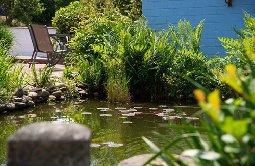 Rieschweiler-Muhlbach Apartamento | Vrbo Property