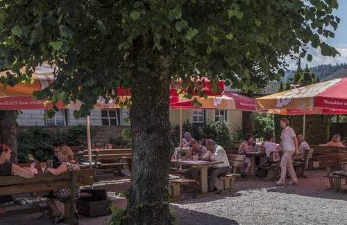 Oberalm Cabaña | Single room with shower, WC - Angerer, Inn