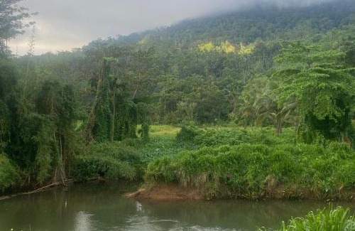 Kotapola Casa | Sinharaja Riverside