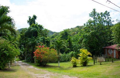 Port Antonio Casa | Sinopia Inn
