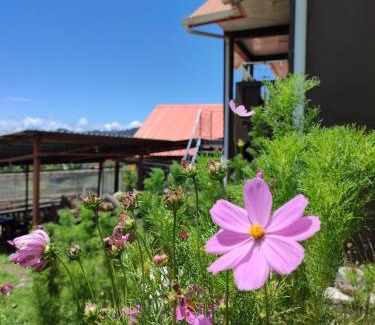 Kundasang Casa | Sinurambi 2