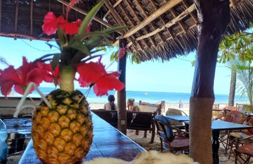 Kiwengwa Cabina | Sipano Beach Lodge
