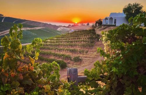 Paso Robles Casa | Sirena Vineyard Resort - 3 Bedroom guest house