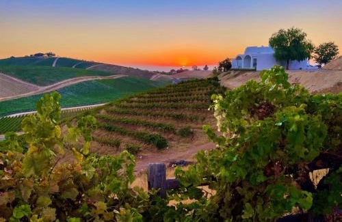 Paso Robles Casa | Sirena Vineyard Resort - 3 Bedroom guest house
