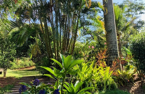 Areal Casa | Sitio con 3 dormitorios y piscina. Lugar completo para familiares y amigos.