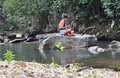 Teresina de Goias Casa | Sitio Frutas do Cerrado