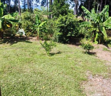 Maquine Casa | Sitio maquine