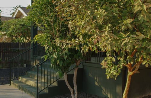 Silver Lake Casa | SITU Montana - Echo Park (Brand New)