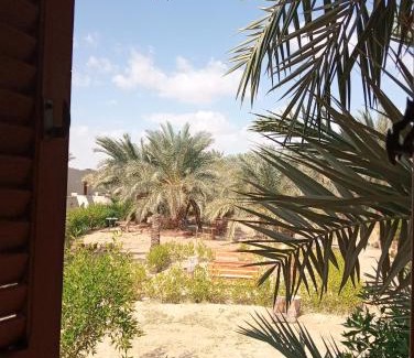 Siwa Hotel | Siwa ajubar resort